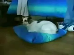 黒Cro 女性 用 無料 エロ BigDクソ大きな金髪のおっぱい